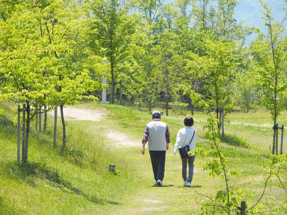 狭くとも楽しく