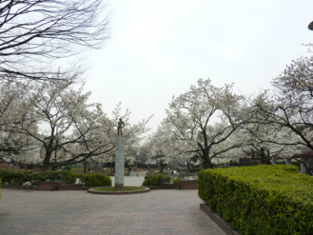 青井ふれあい公園