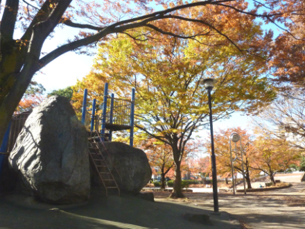 青井ふれあい公園