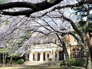 駒場公園【お花見】