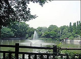 碑文谷公園