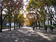 都立代々木公園