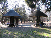 都立代々木公園