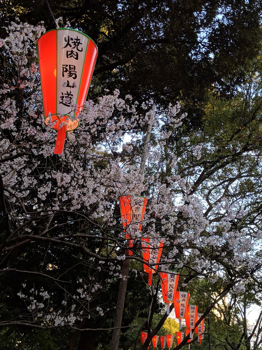 上野恩賜公園【お花見】