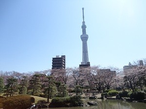 隅田公園