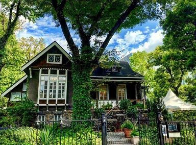 日比谷公園【お花見】