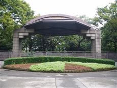 日比谷公園【お花見】