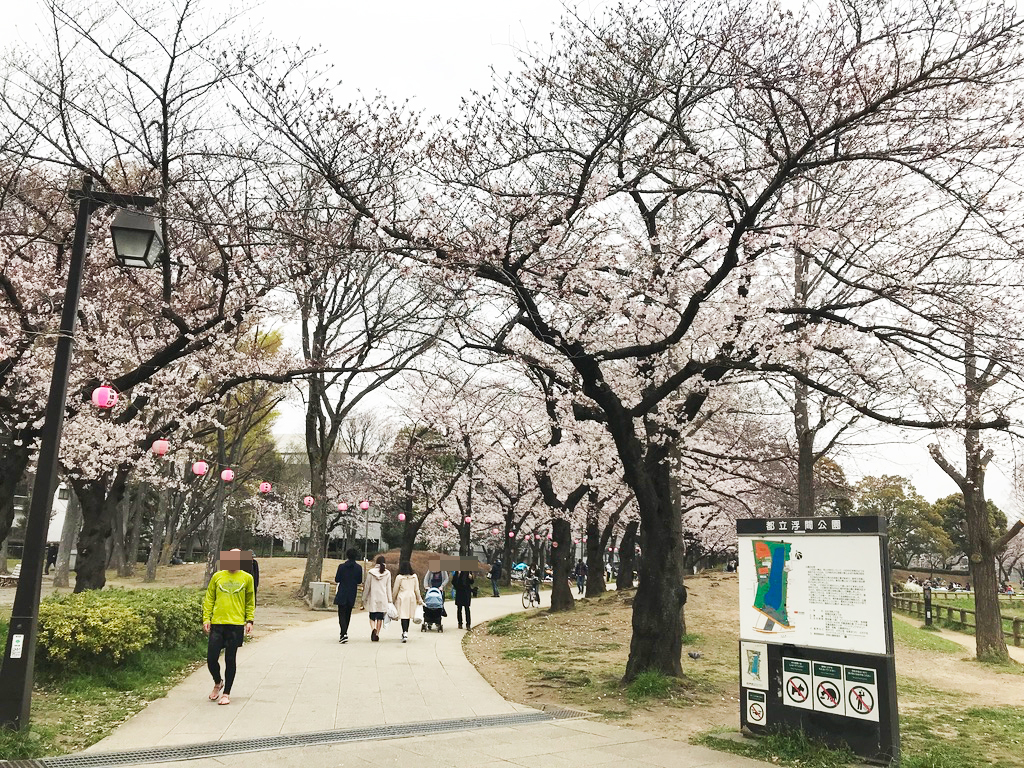 都立浮間公園【お花見】