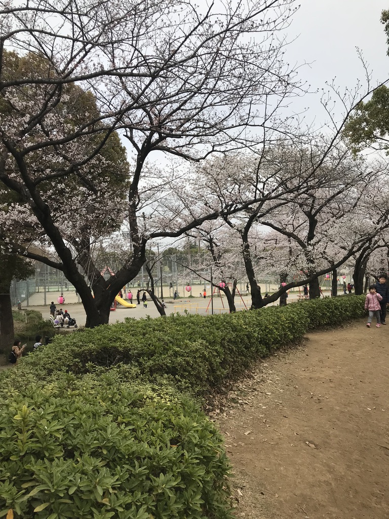 都立浮間公園【お花見】