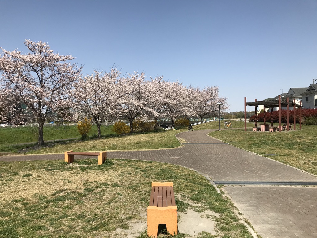 春野公園