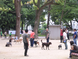 所沢航空記念公園ドッグラン