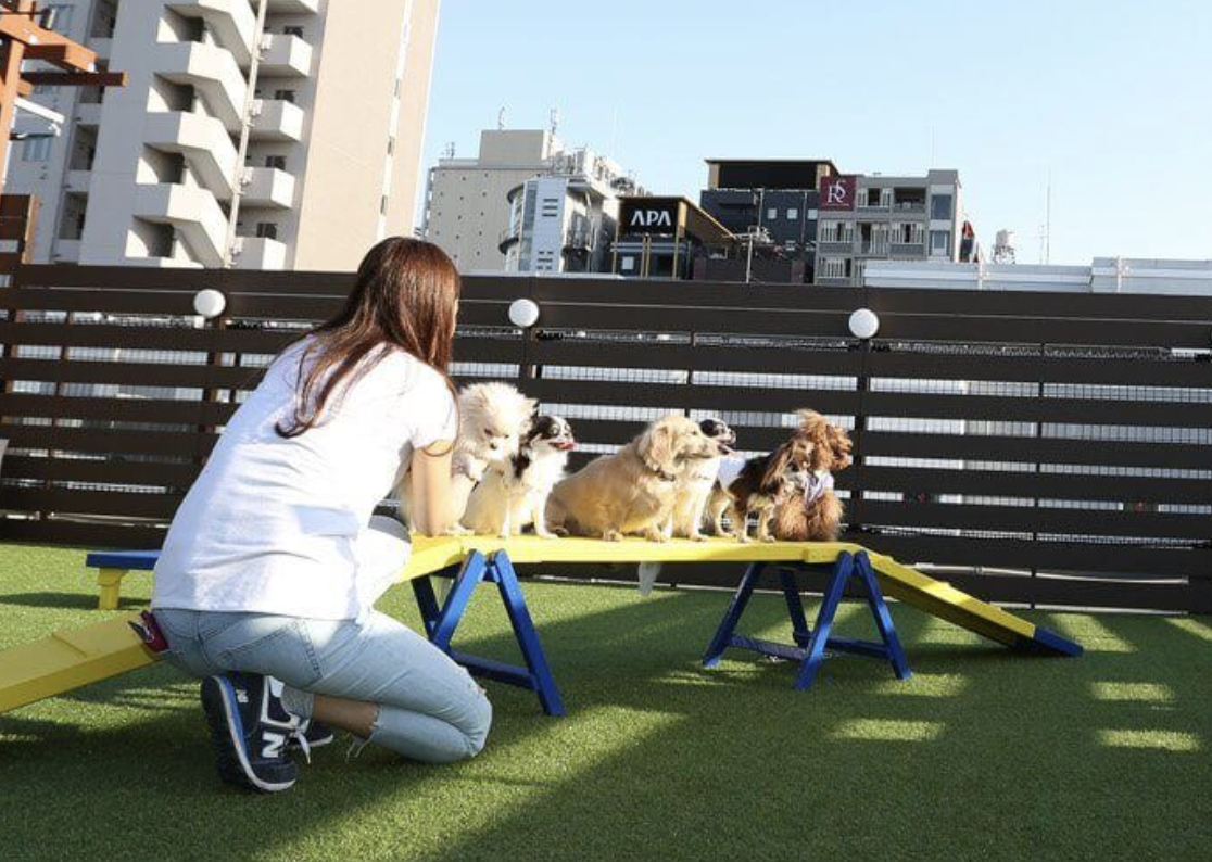 愛犬ヴィレッジドッグラン