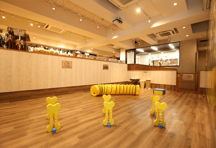 愛犬ヴィレッジドッグラン