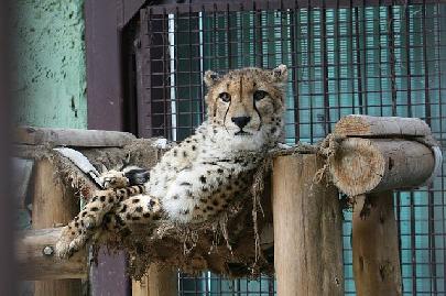 東武動物公園