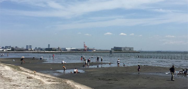 ふなばし三番瀬海浜公園