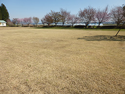 矢板市城の湯キャンプ場