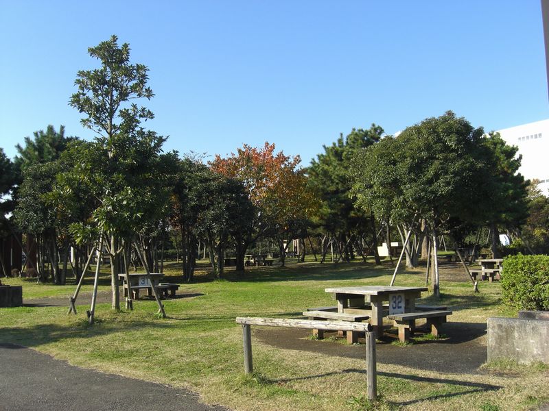 城南島海浜公園キャンプ場