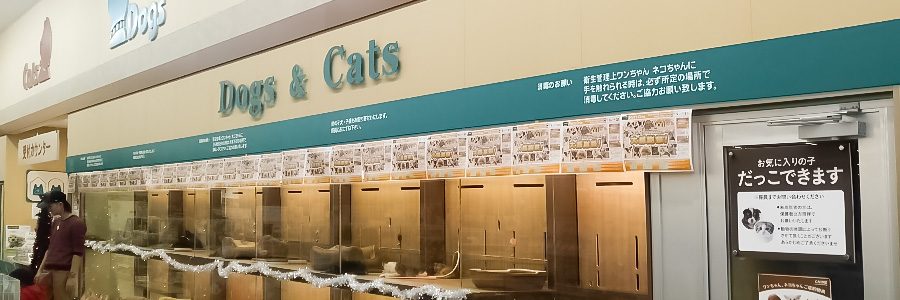 Pet's One-ペッツワン【カインズ行田店】