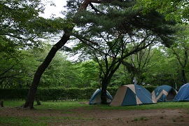 智光山公園野外活動広場(キャンプ場)