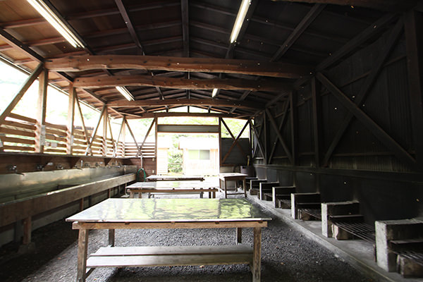 入川渓谷夕暮キャンプ場