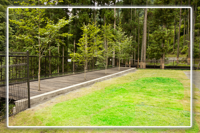 ウッドルーフ奥秩父オートキャンプ場