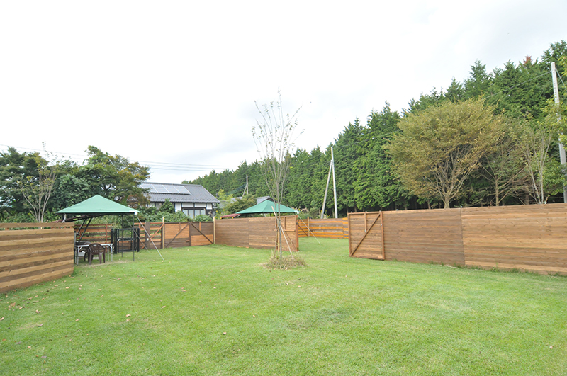 那須貸切ドッグラン＆キャンピング『ワンコが主役』