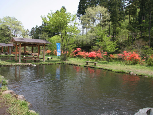 日光・まなかの森 キャンプ＆スパリゾート