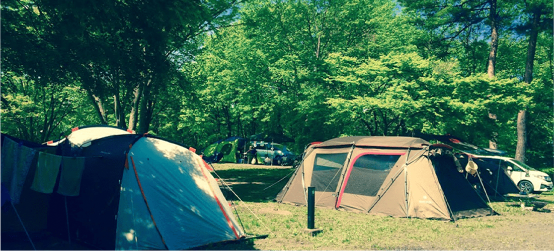 森と星空のキャンプヴィレッジ