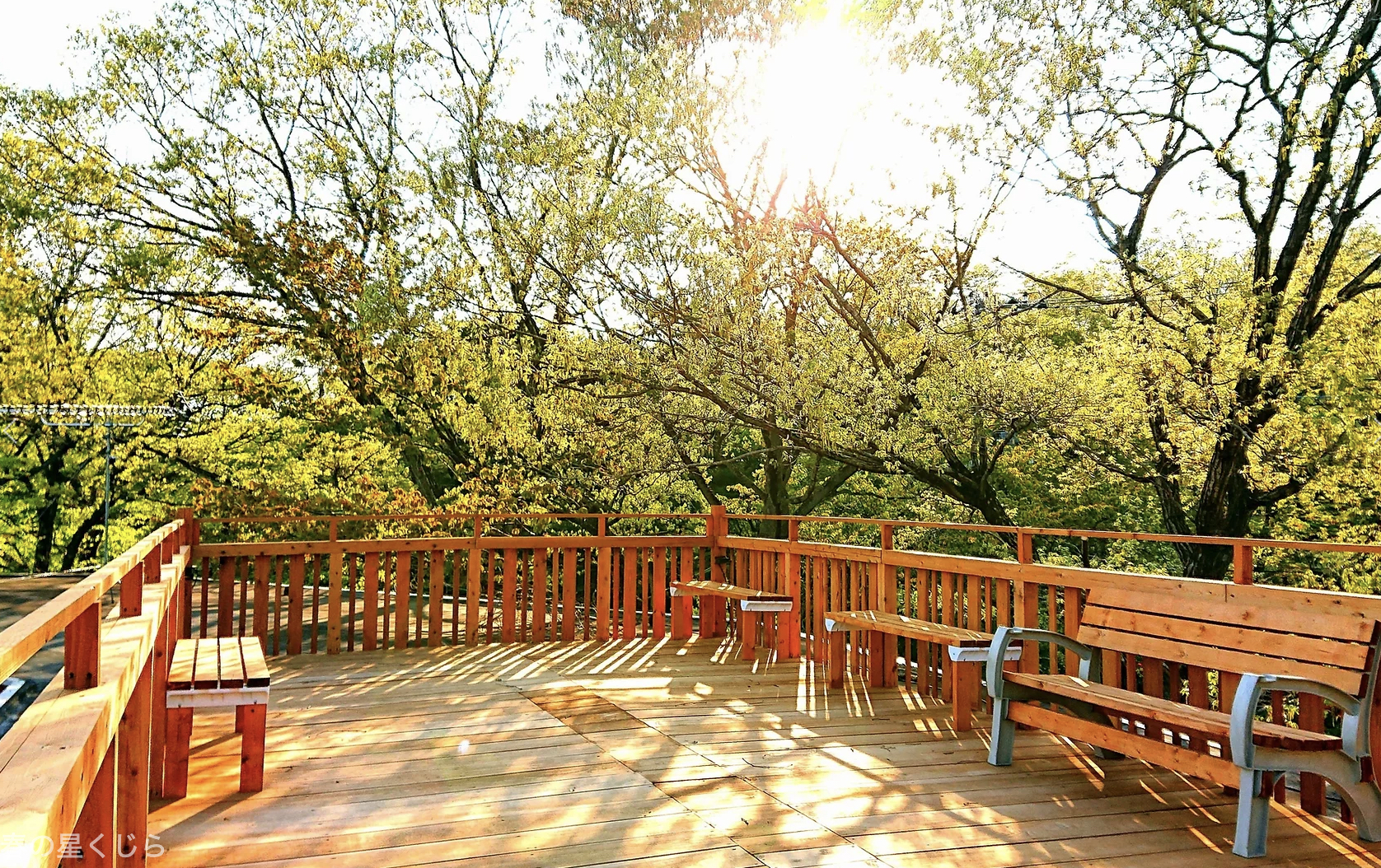 ぽんぽこの森Family Camp場