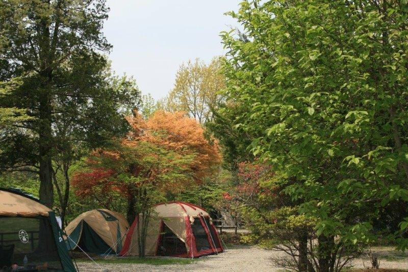 ホリデーキャンプ場