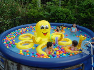 ACNオーキャン宝島