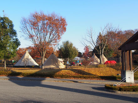 出会いの森総合公園オートキャンプ場