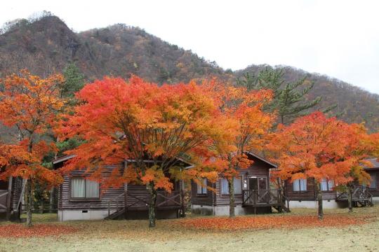 銀山平キャンプ場