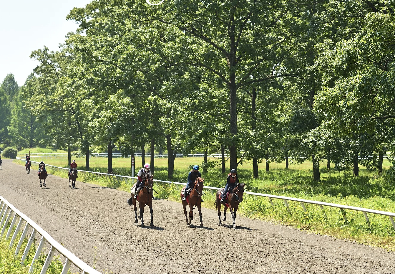 芳賀ファーム＆グランピング