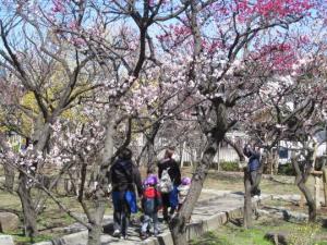 大和田公園