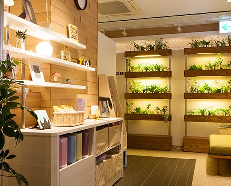 ドゥミ ルネサンス　目黒店